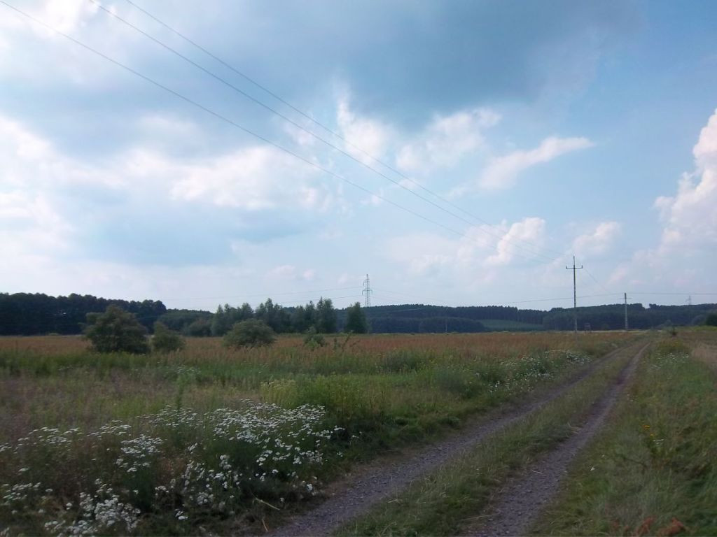 Grunt na sprzedaż, Radnica, 15063.00 m² - Widok 2