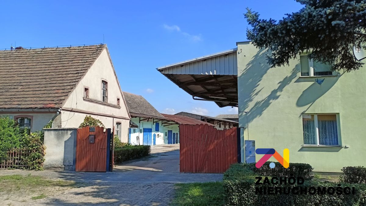 Dom – Babimost - Widok 4