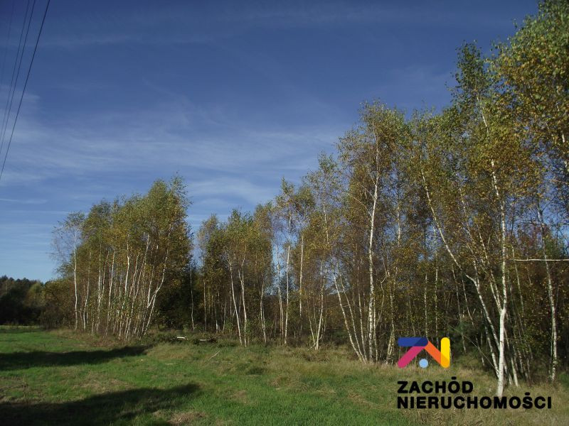 Zemljište, 1200 m²