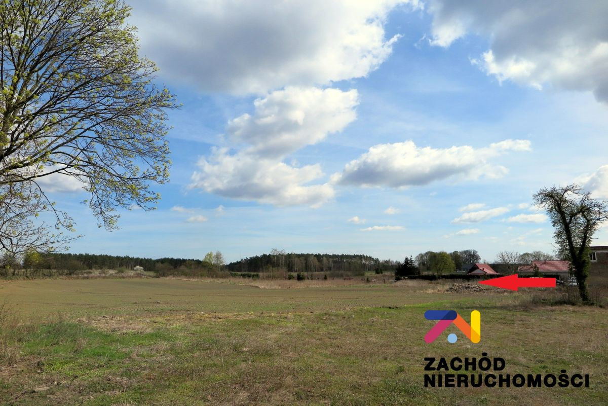 Działka budowlana 10 km od Torzymia - Widok 4