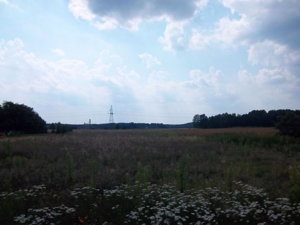 Grunt na sprzedaż, Radnica, 15063.00 m² - Widok 3