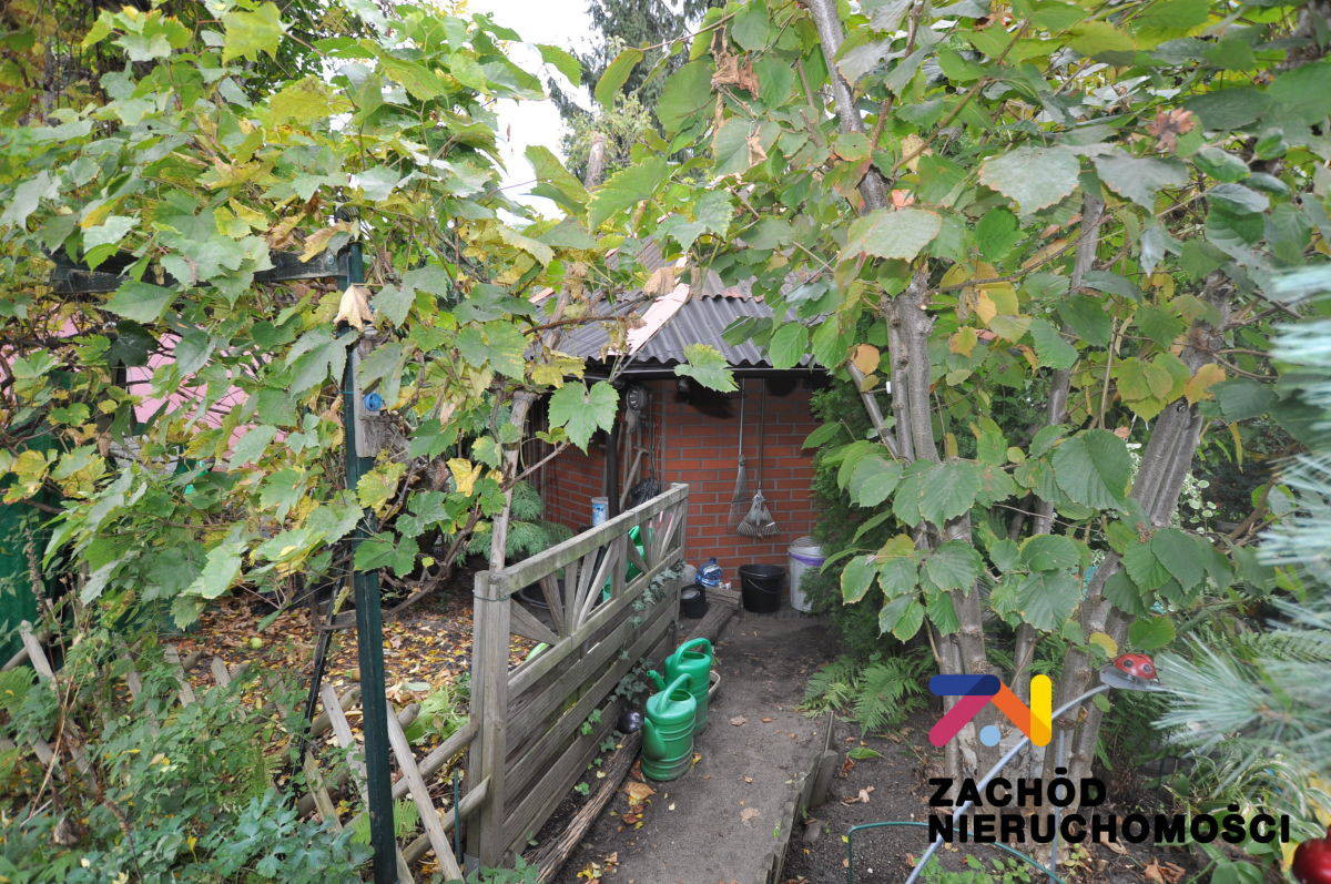 Działka Rod Lilia przy Morelowej - Widok 5