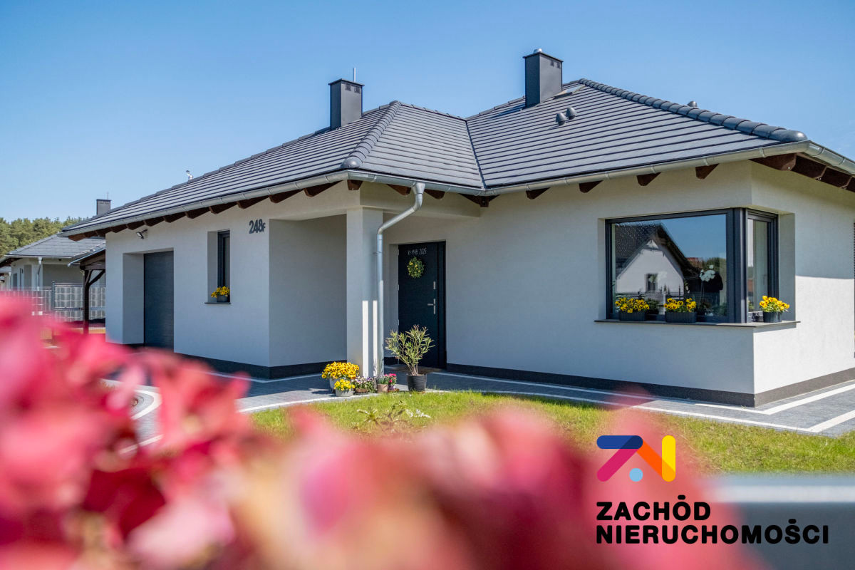 Domy z linia lasu, nowy projekt Agat, Złote Piaski
