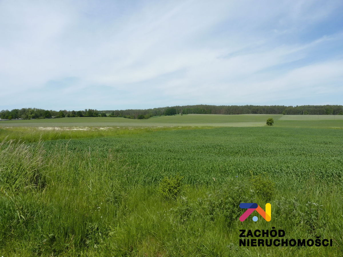 DziaŁka Budowlana W PobliŻu Jeziora! ŁagÓwek - Widok 3