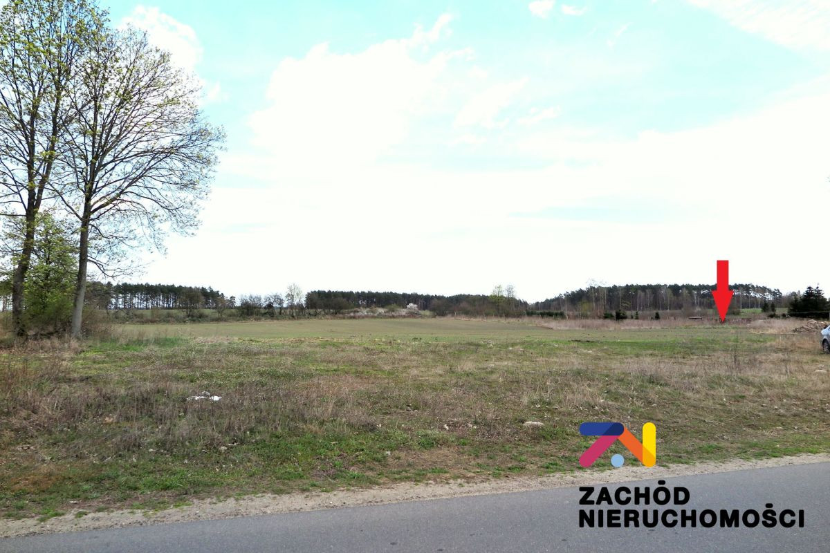 Działki budowlane 10 km od Torzymia - Widok 5