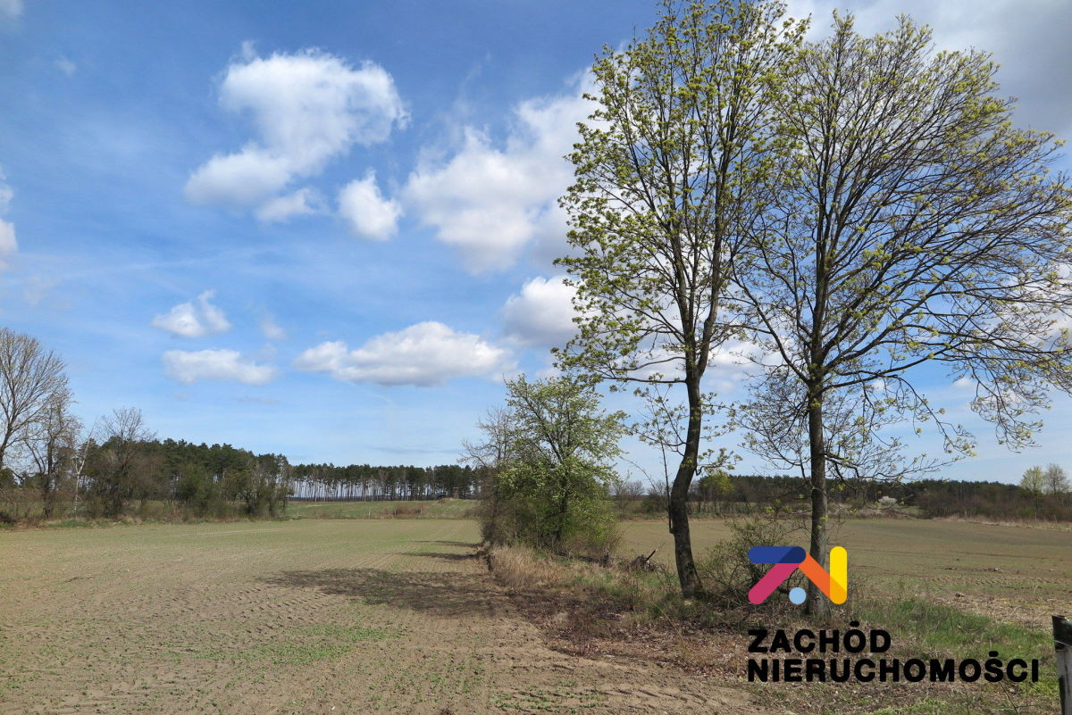 Działki budowlane 10 km od Torzymia - Więcej