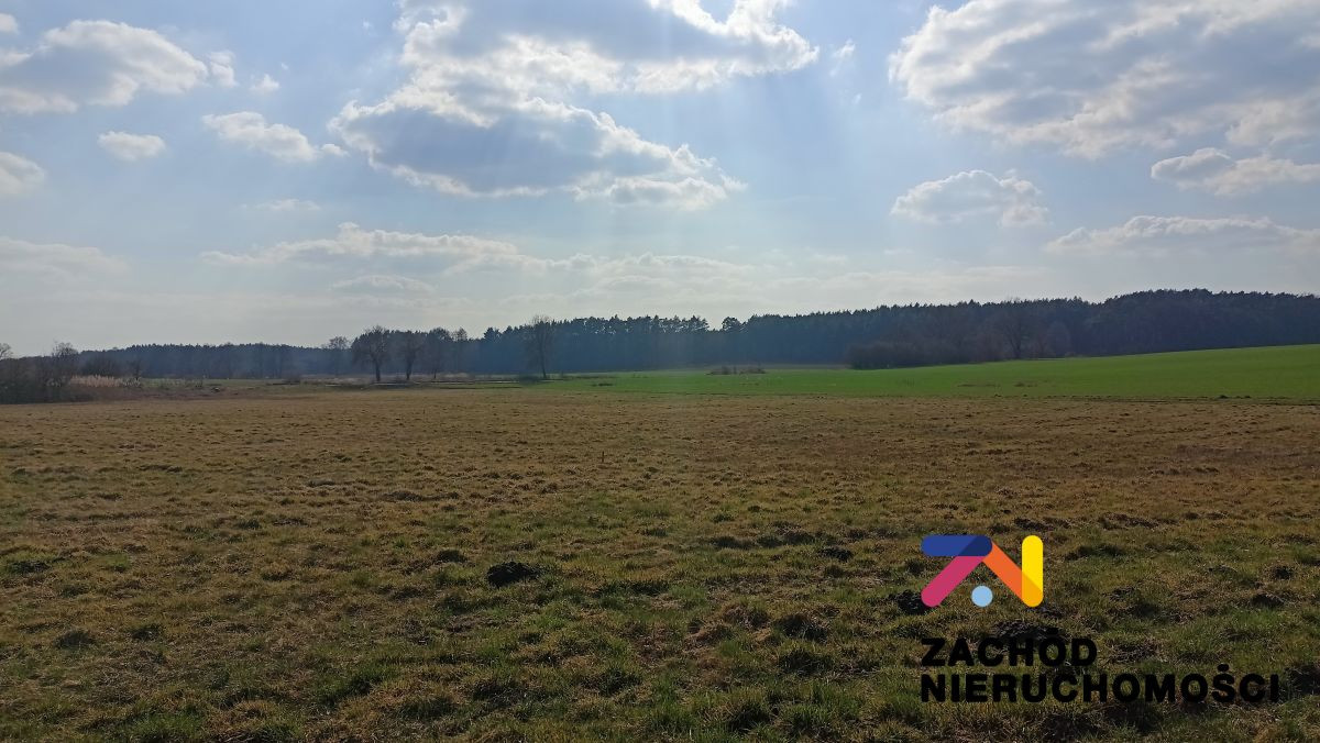 Działki budowlane 300m od Jeziora, Łąkie - Widok 5