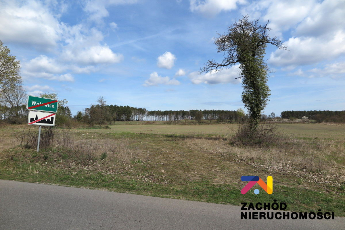 Działki budowlane 10 km od Torzymia - Widok 3