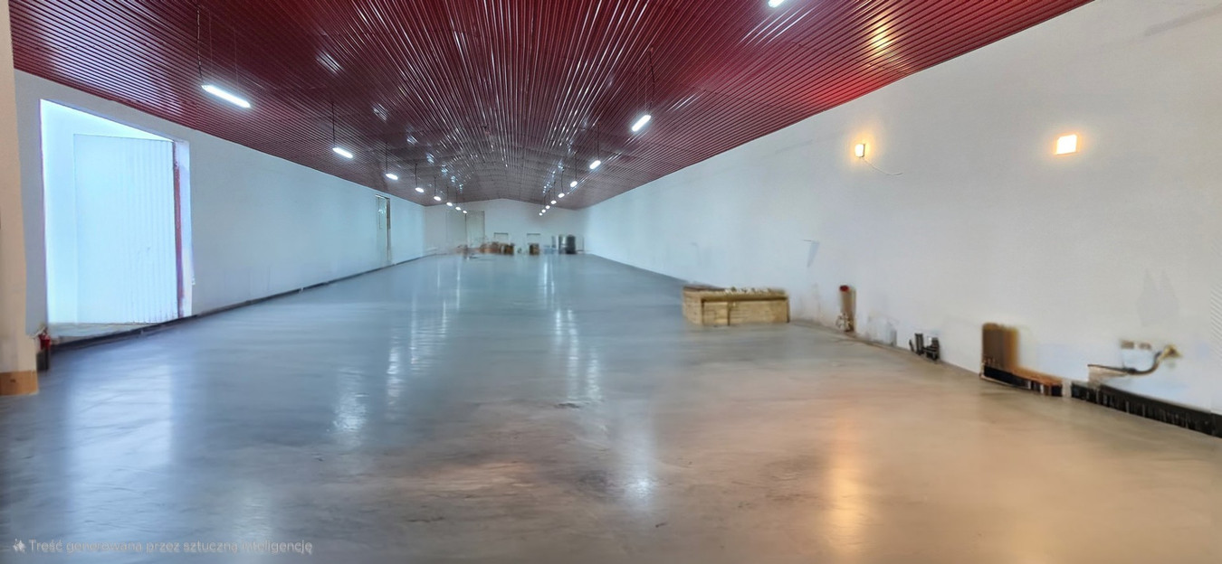 Sala bankietow 250 m² z noclegami i halą 1000 m² + Stawy - Widok 3