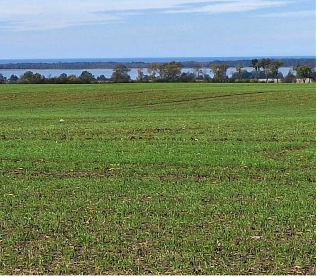 Sprzedam działkę rolną 1,36 ha Kopnica gm. Darłowo - Widok 4