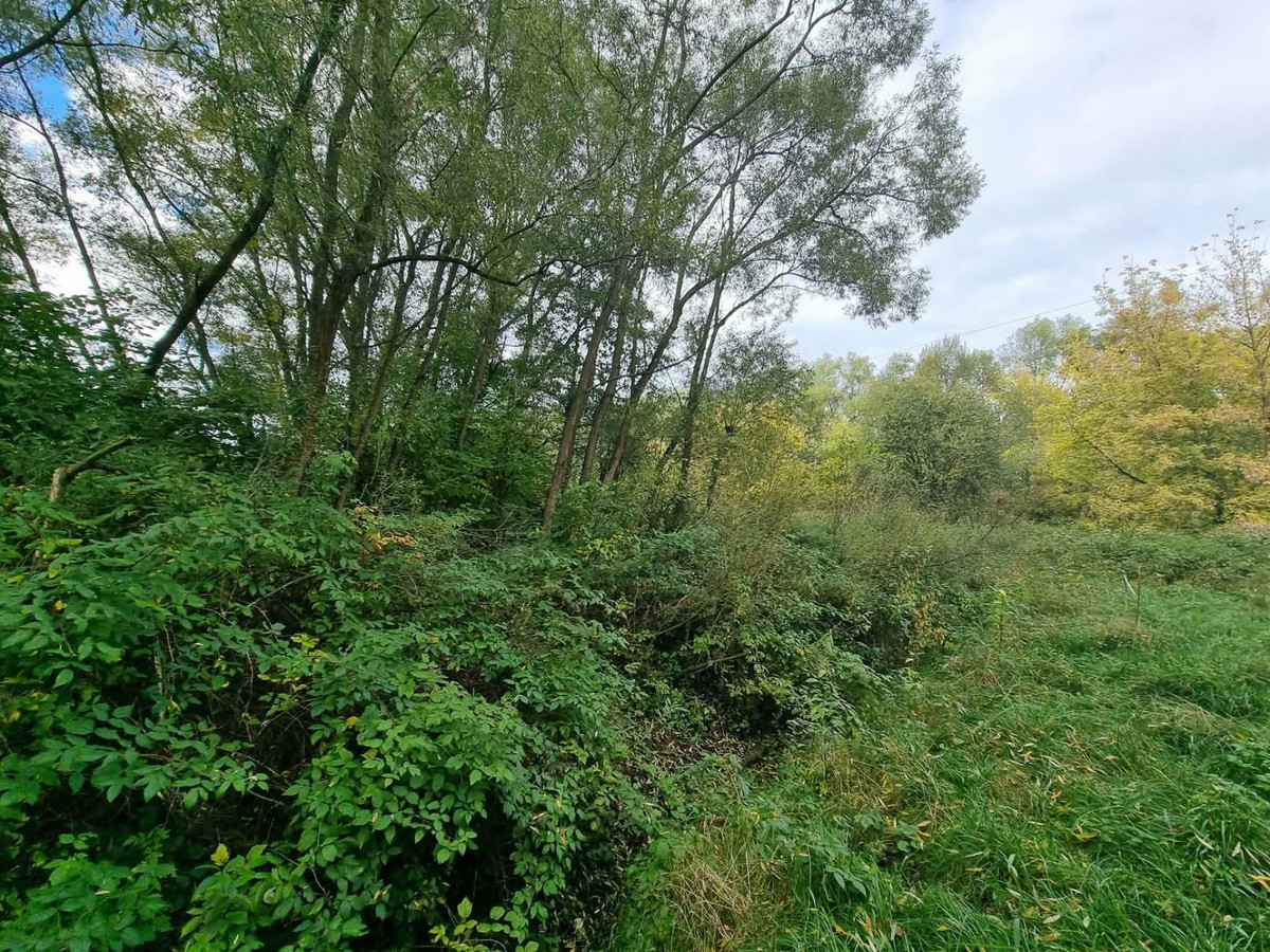 Działka rekreacyjna z dostępem do rzeki - Widok 3