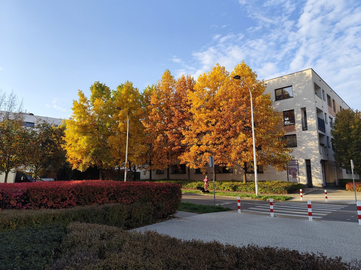 Apartment in Warszawa, Zacisze, Targówek - Widok 3