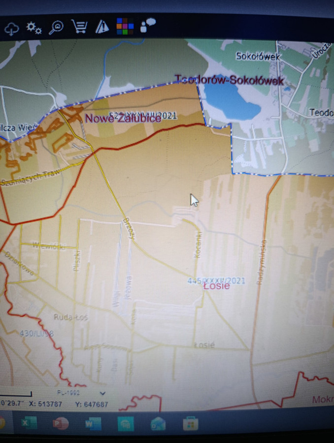 działka leśna z potencjałem, bliskie okolice Warszawy - Widok 2