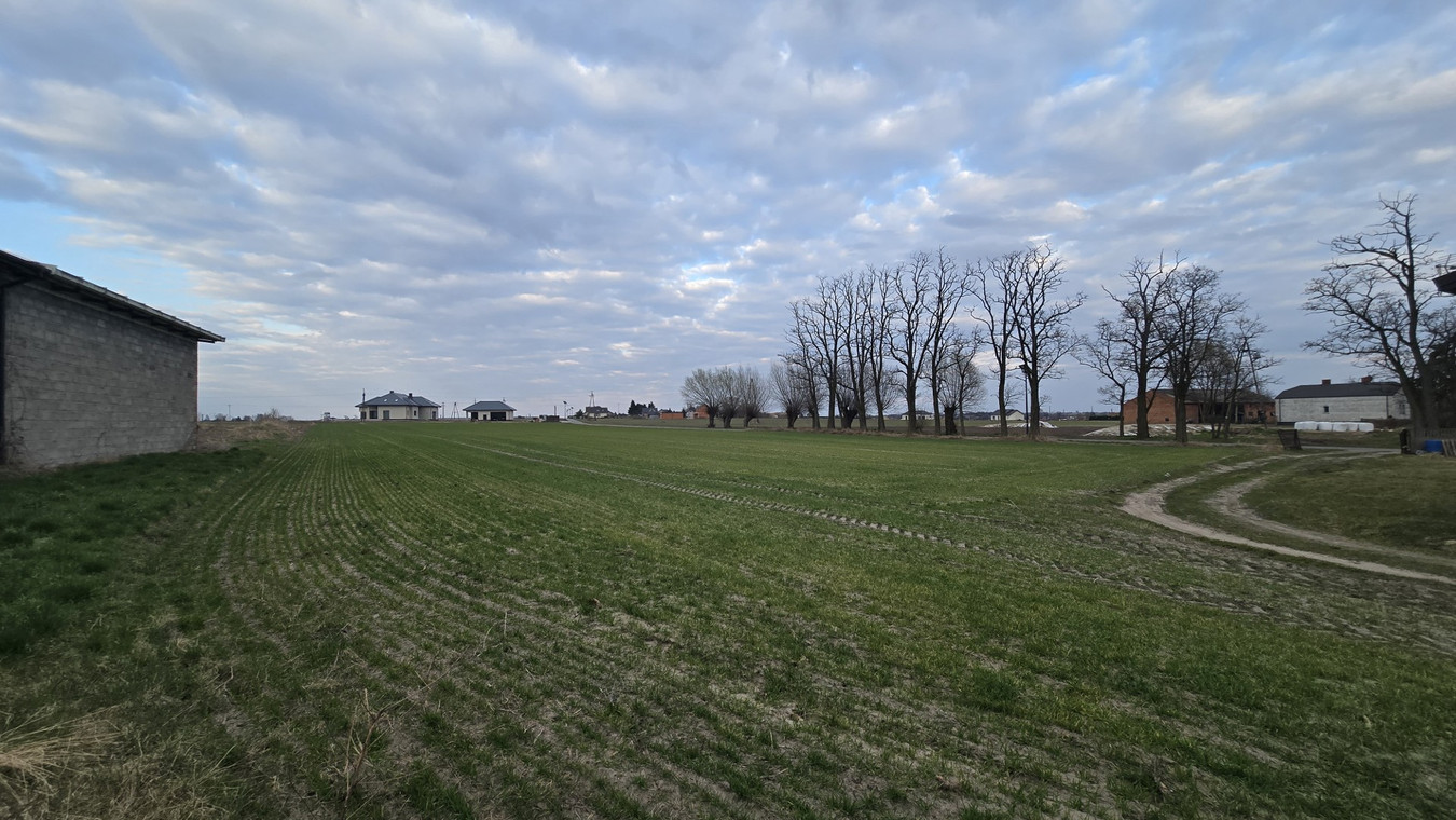 Działka budowlana Pruszków koło Kalisza - Widok 2