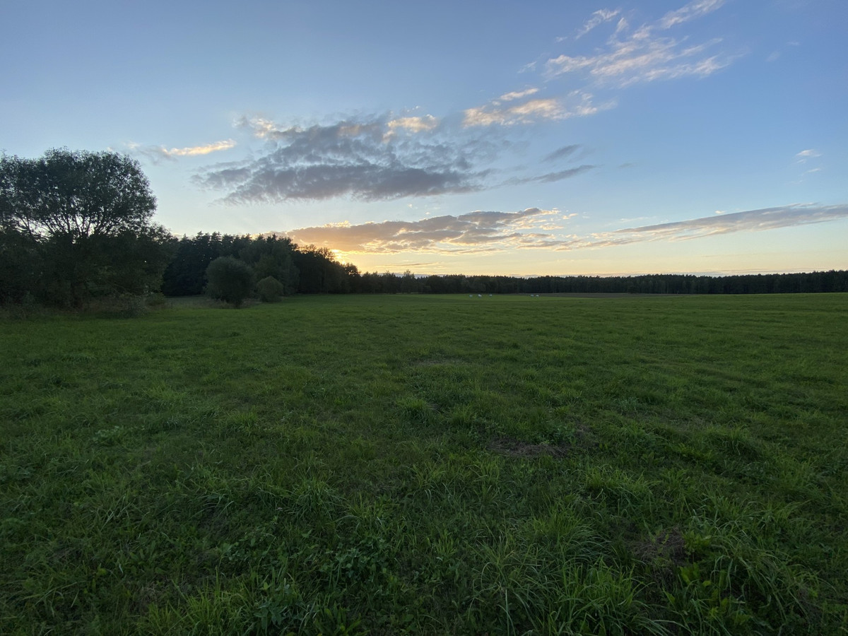Sprzedam działki budowlane na Mazurach - Widok 2