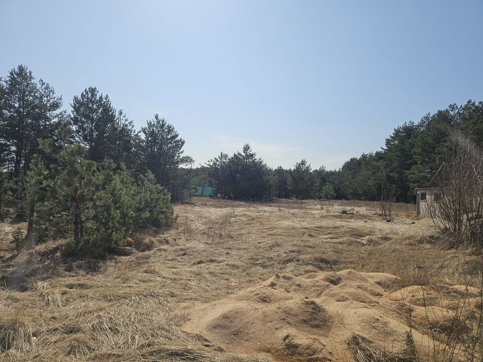 Działka 2949 m² | MPZP | Zabudowa wielorodzinna| 6 km Toruń| Bydgoszcz - Widok 2