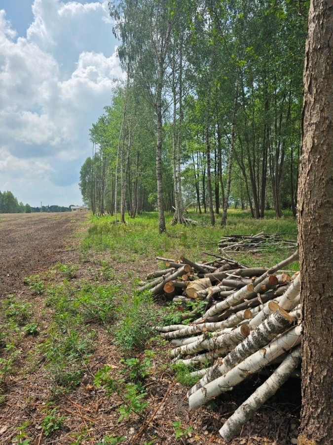 Sprzedaż nieruchomości gruntowej Dębe Wielkie - Widok 5