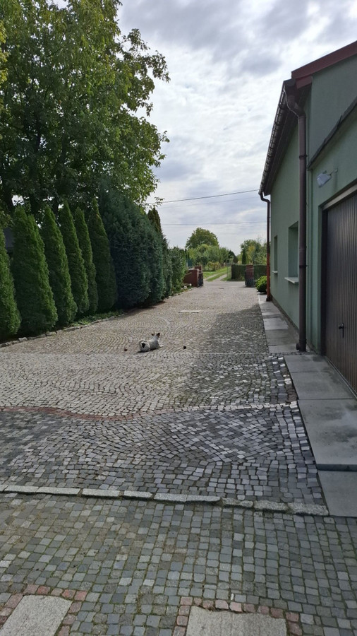Dom – Strzegom - Widok 4