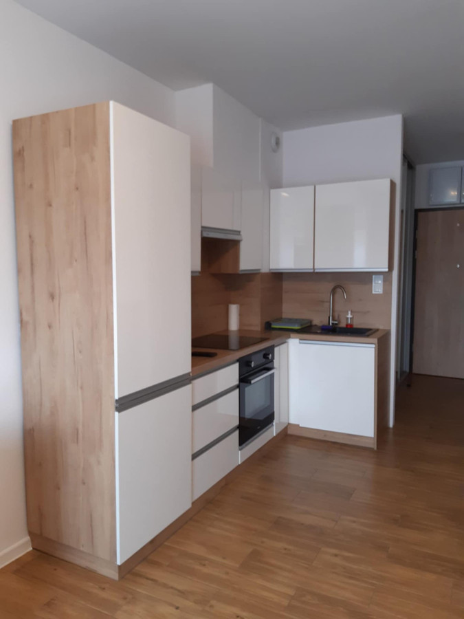 Apartment in Wrocław, Nadodrze, Śródmieście - Widok 3