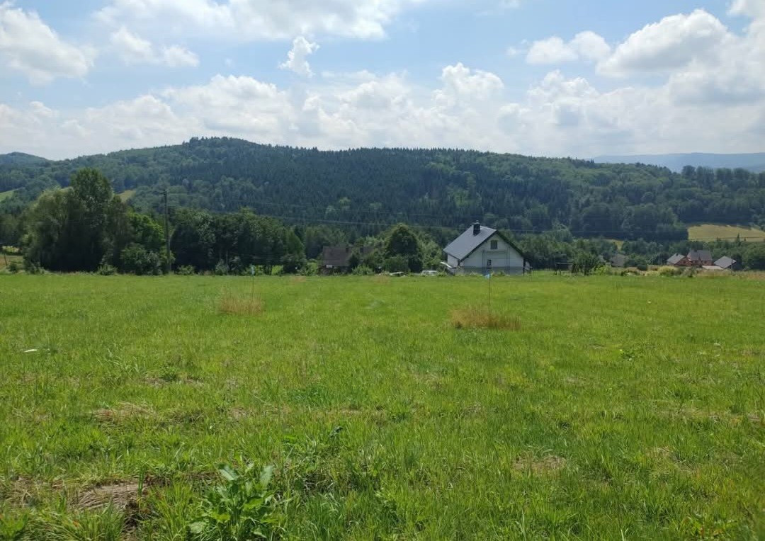 Dzialka budowlana - Widok 2