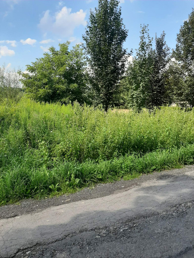 Działka budowlana na sprzedaż - Kalwaria Zebrzydowska - 0,1350 ha (13,5 ara) - Widok 2