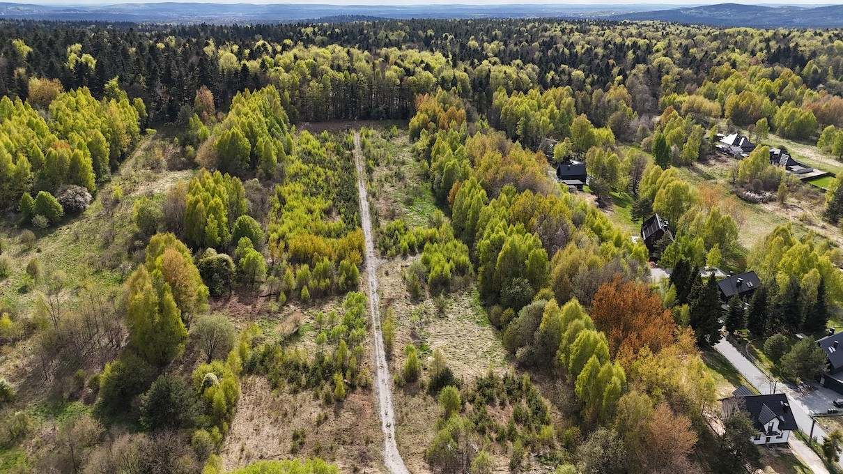 Działka budowlana w otoczeniu natury w Siodłach koło Zagnańska - Widok 2