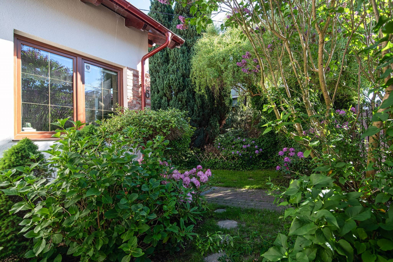 House in Puck, Pucki Plac, Osiedle Swarzewskie - Widok 3