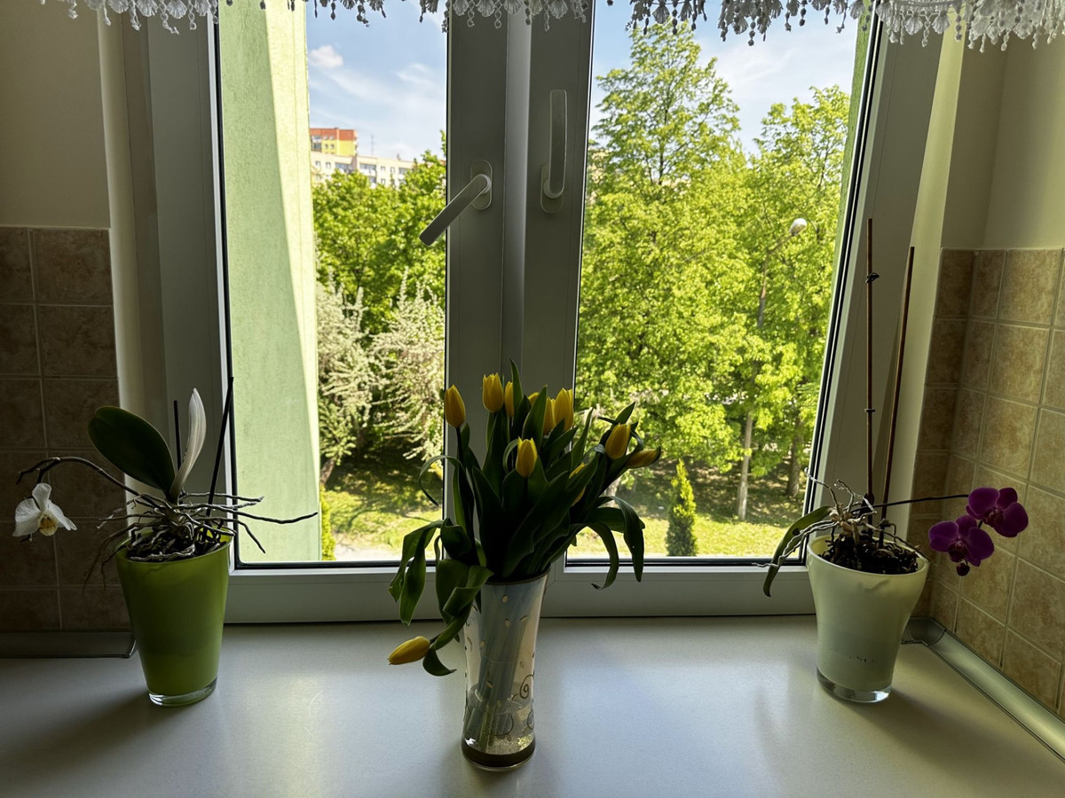 Mieszkanie – Kielce, Bocianek - Widok 3