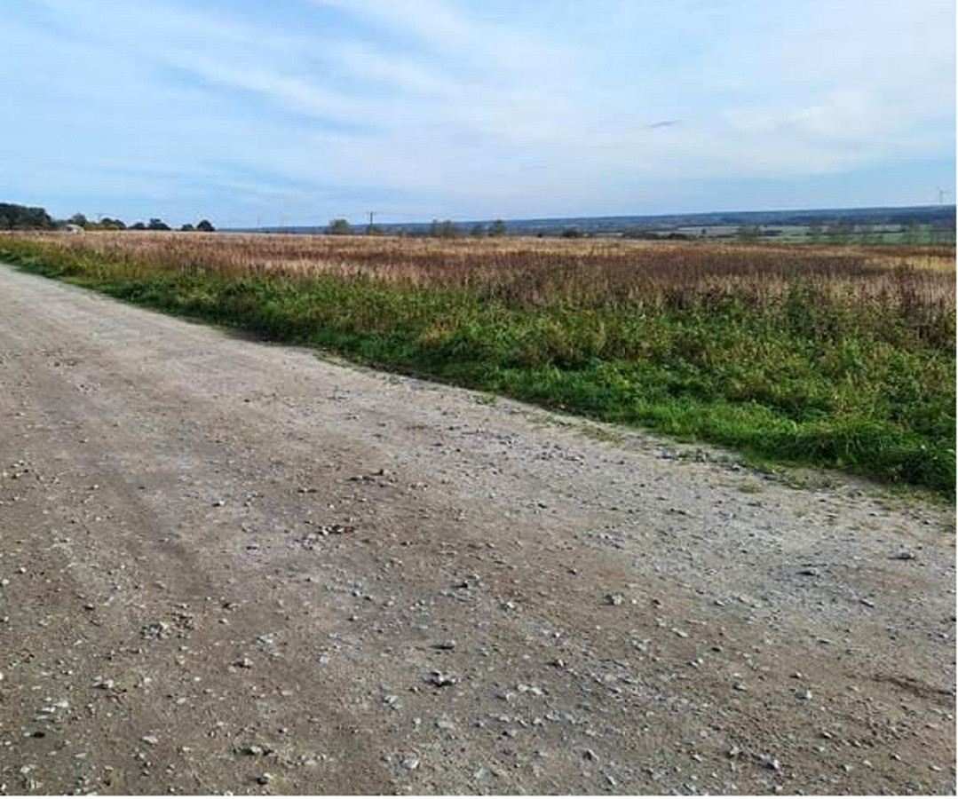 Sprzedam działkę rolną 1,36 ha Kopnica gm. Darłowo - Widok 5