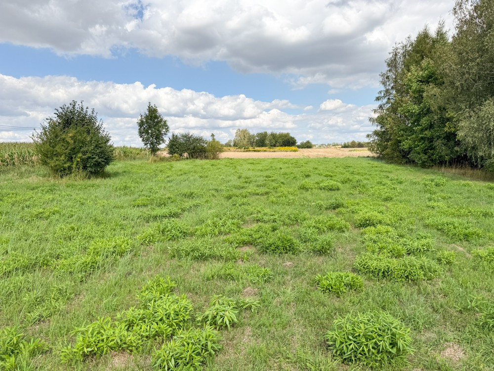 Działka na sprzedaż 3000 m² - Krasieniec Stary - Widok 4