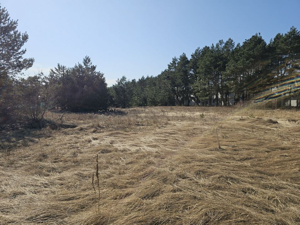 Działka 2949 m² | MPZP | Zabudowa wielorodzinna| 6 km Toruń| Bydgoszcz - Widok 3