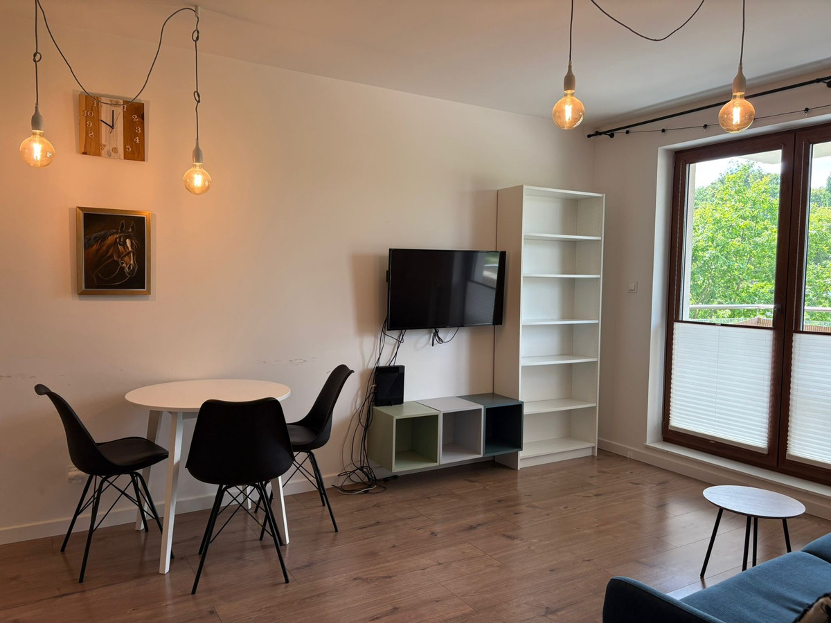 Apartment in Olsztyn, Pozorty - Widok 2