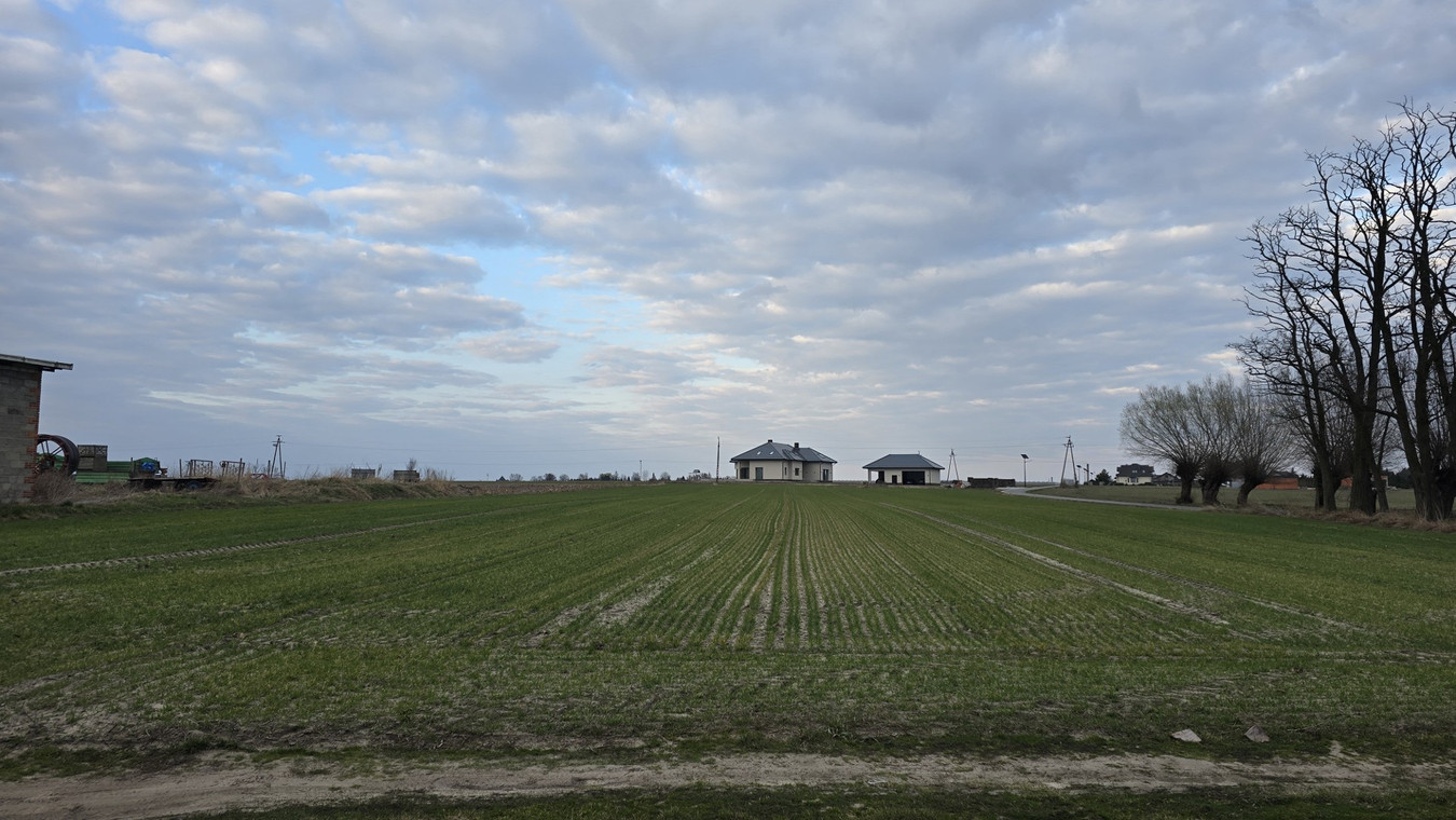 Działka budowlana Pruszków koło Kalisza - Widok 4
