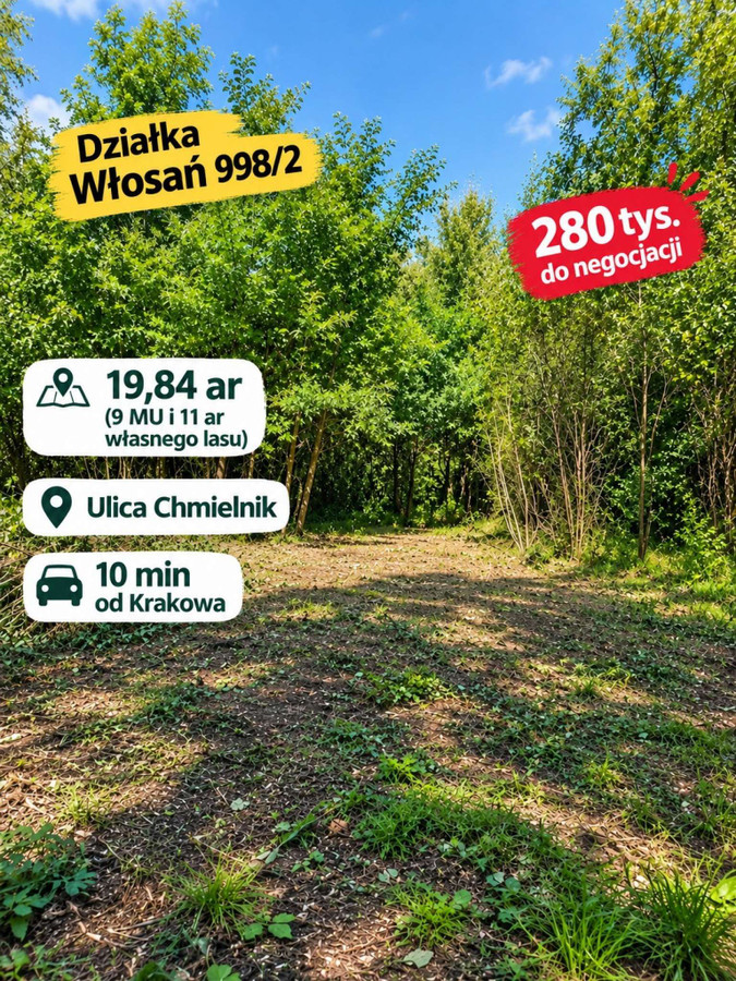 Włosań | Działka pod dom w otoczeniu drzew. Bez prowizji - Więcej
