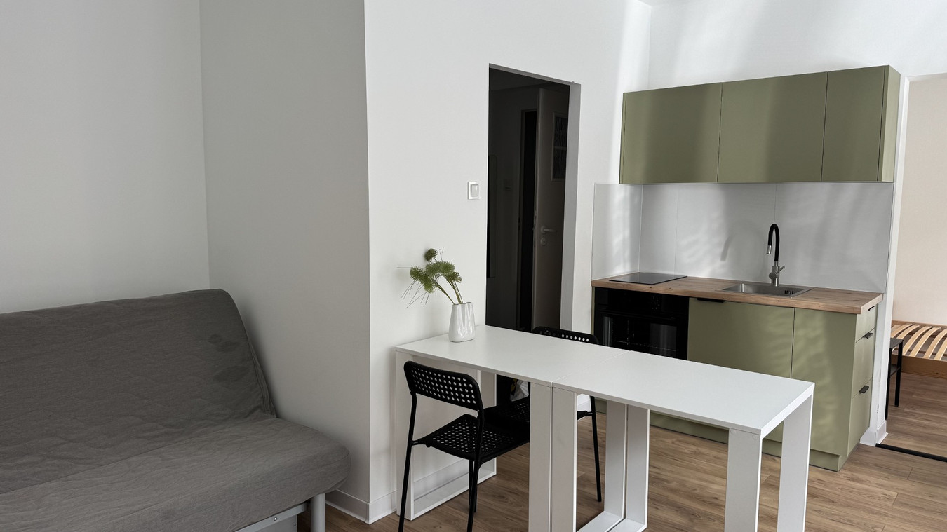 Apartment in Łódź, Polesie - View 2