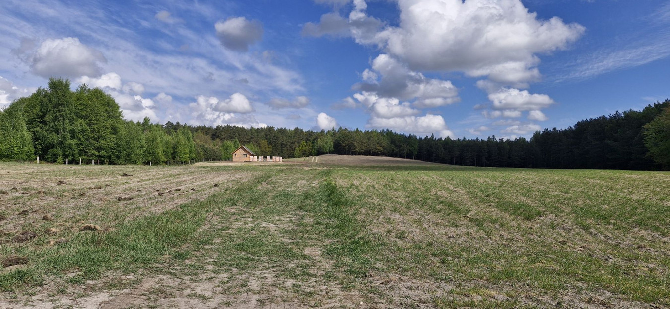 Działki Lasy Jeziora - Widok 5