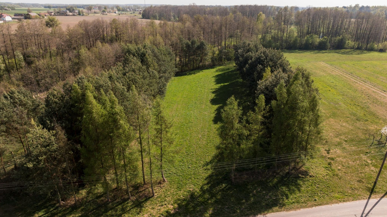 Piękna działka z Warunkami Zabudowy blisko Narwi. 80 km od Warszawy - Widok 3