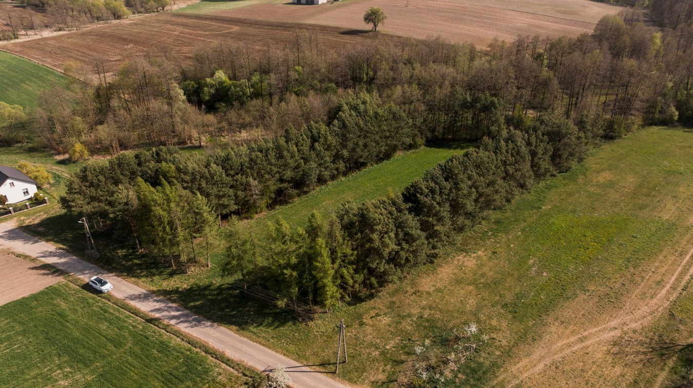 Piękna działka z Warunkami Zabudowy blisko Narwi. 80 km od Warszawy - Więcej