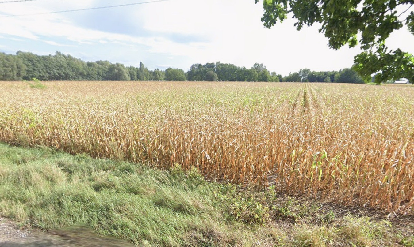 Twoje miejsce pod Warszawą: 5 000 m² możliwości w Kaskach - Widok 4