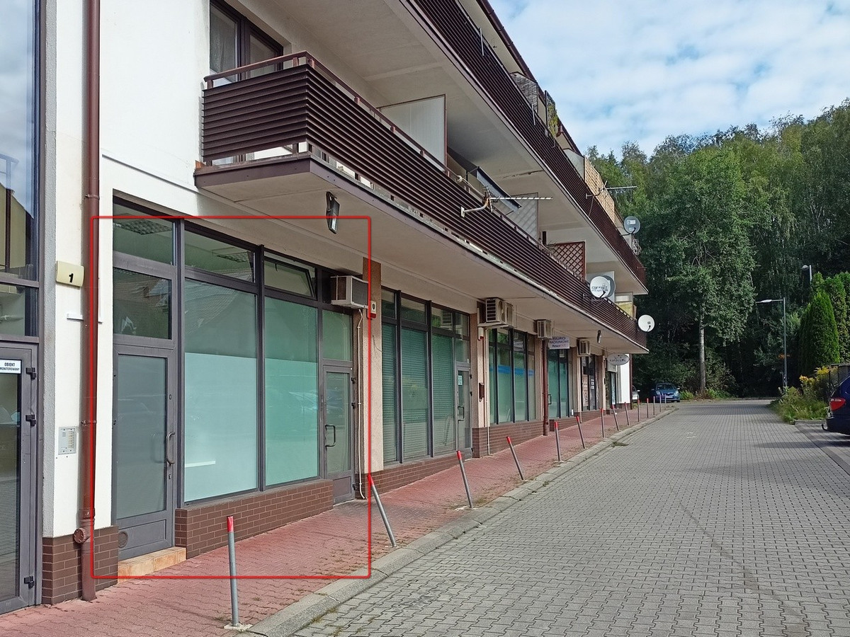 Lokal dla gastronomii - lub inne działalności, Kraków - Kliny - Ruczaj - Widok 2