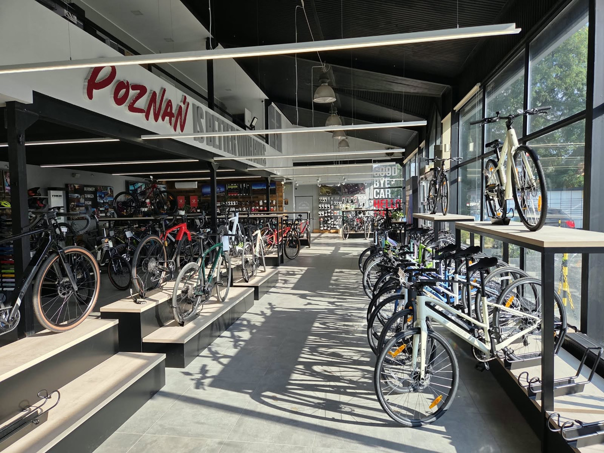 Pawilon handlowo-usługowy 396 m² | parking 600 m² | Poznań, Dąbrowskiego - Widok 3