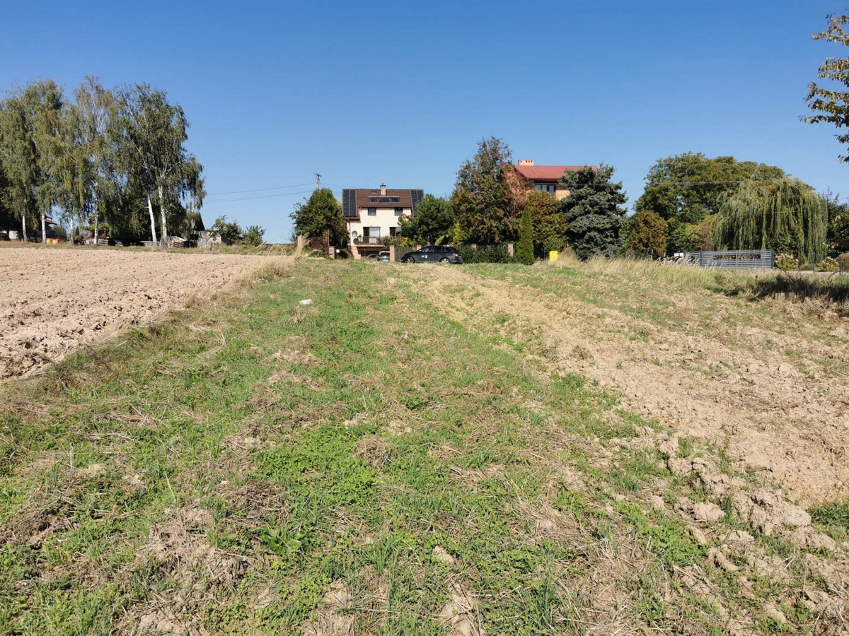 Działka rolno-budowlana Krasieniec Zakupny - OKAZJA - Widok 2