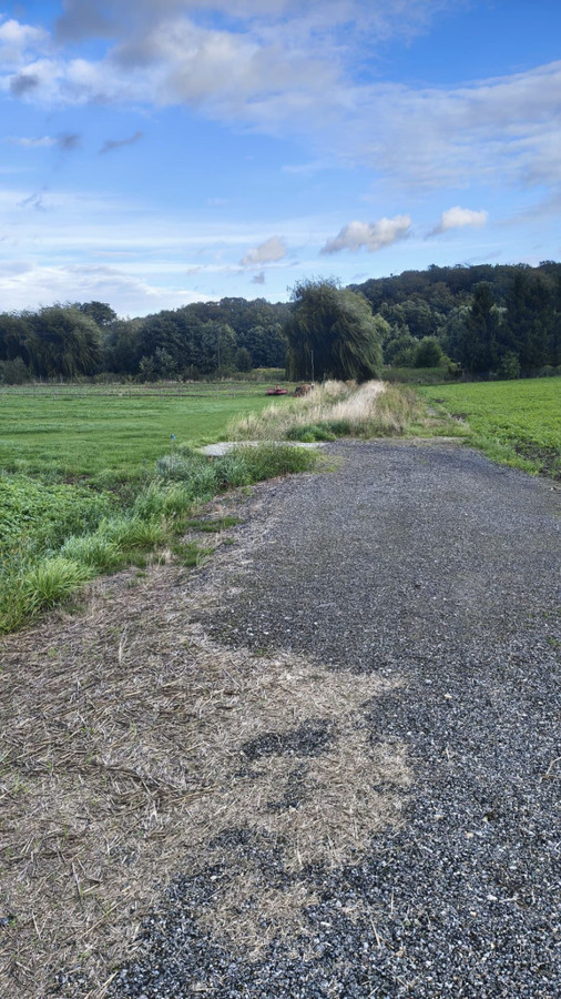 Wyjątkowa nieruchomość Boleścin- Działka budowlana i 1ha ziemi - Widok 5