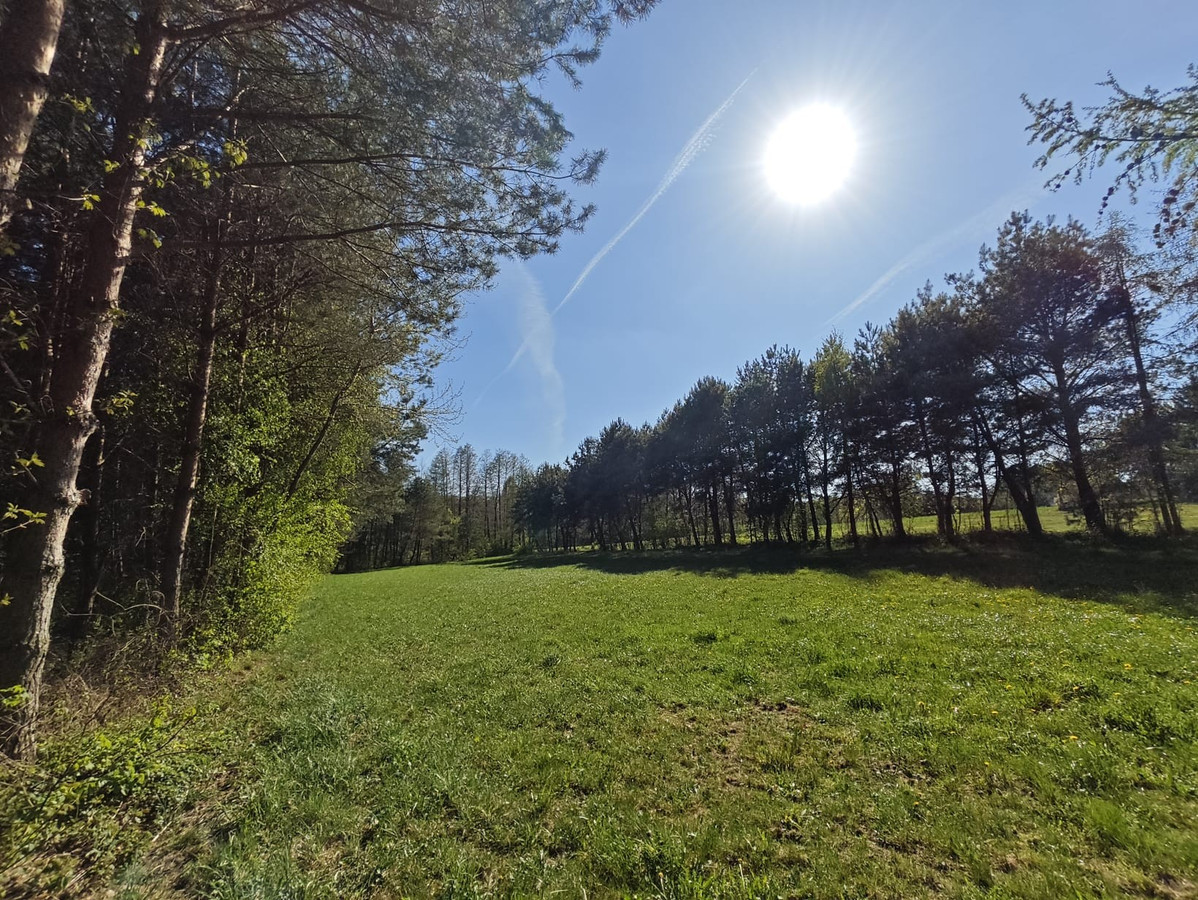 Piękna działka z Warunkami Zabudowy blisko Narwi. 80 km od Warszawy - Widok 4