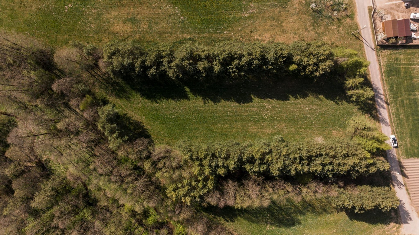 Piękna działka z Warunkami Zabudowy blisko Narwi. 80 km od Warszawy - Widok 5