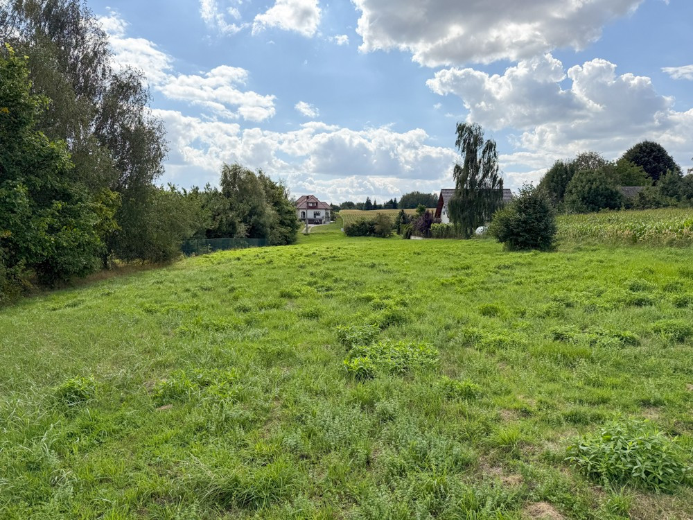 Działka na sprzedaż 3000 m² - Krasieniec Stary - Widok 5