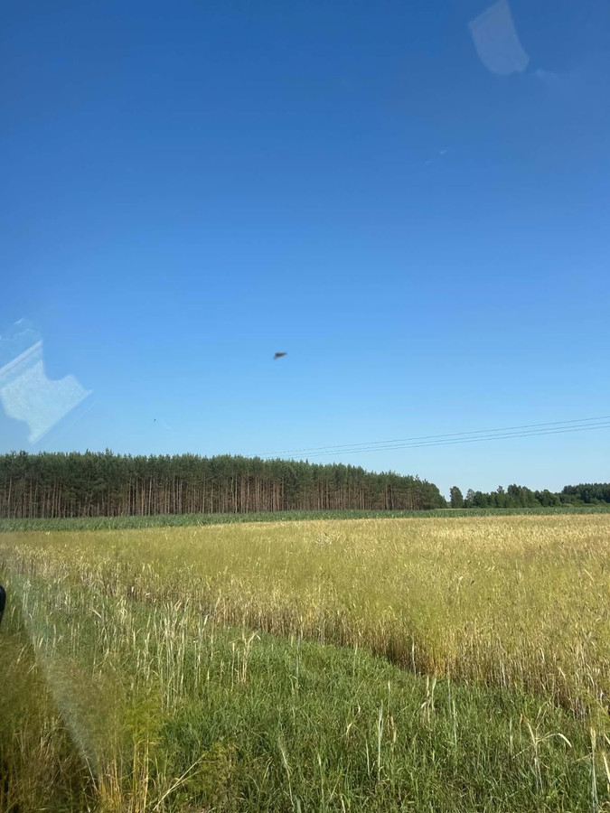 pakiet gruntów rolnych i leśnych w m. Bużyska, gm. Korczew - Więcej