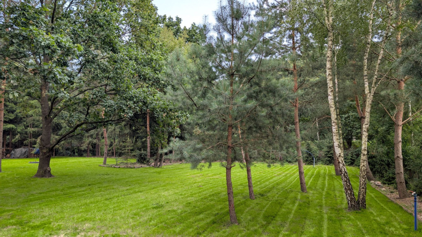 Działka budowlana z infrastrukturą przy Puszczy Kampinoskiej - Więcej