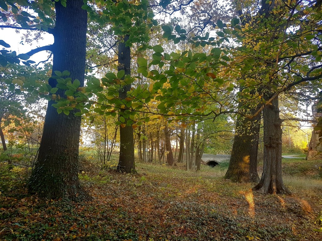 Atrakcyjne działki mieszkaniowo-usługowe|Sokola|MPZP|Uzbrojone|od 15ar - Widok 3