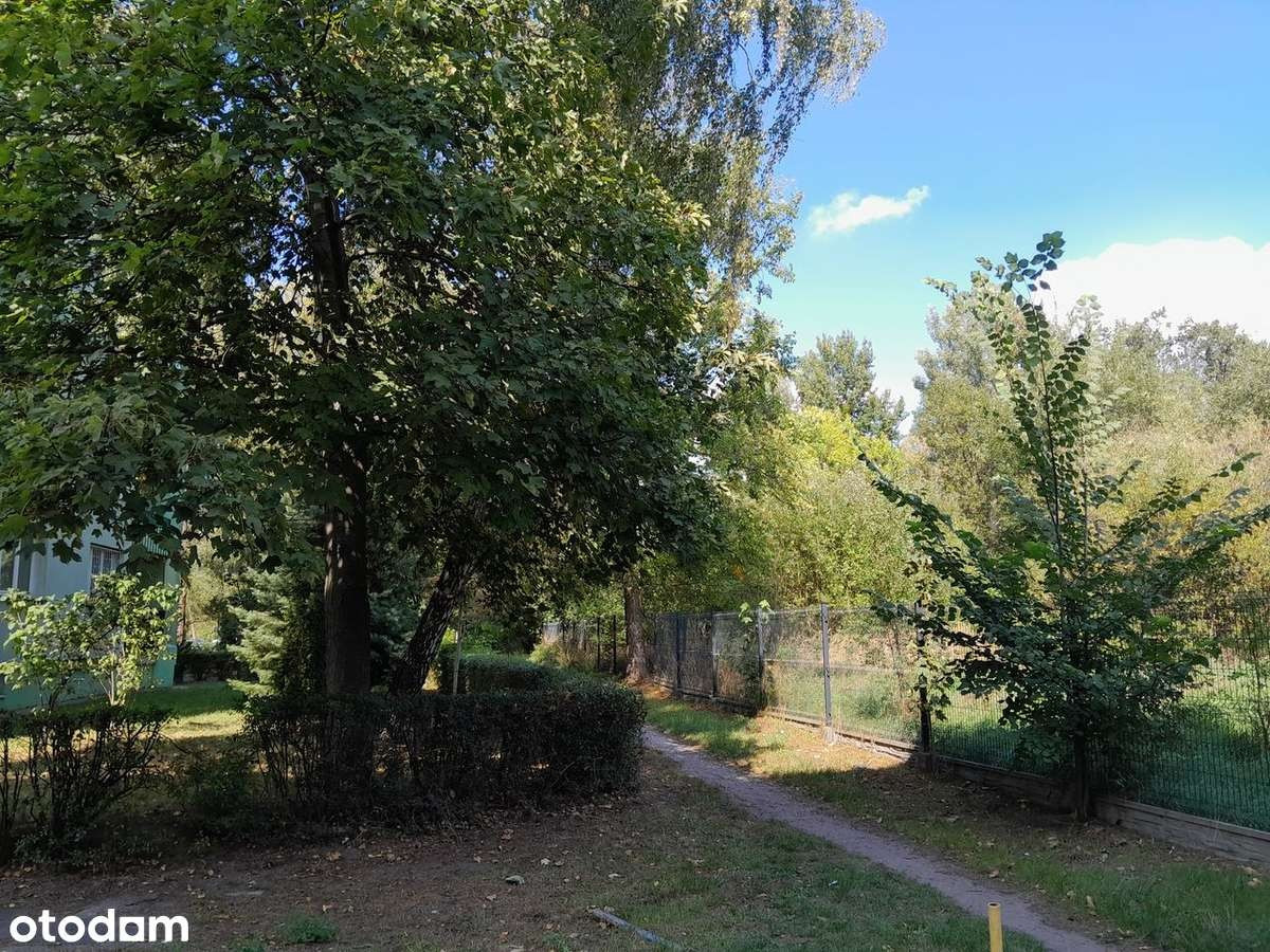 Licytacja komornicza dla dewelopera - Więcej
